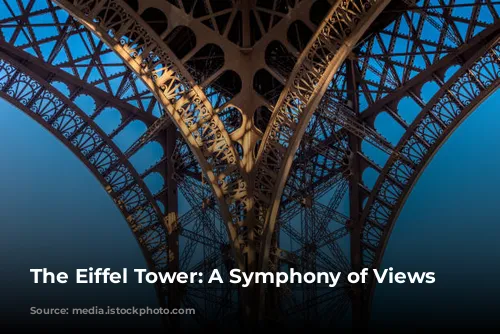 The Eiffel Tower: A Symphony of Views