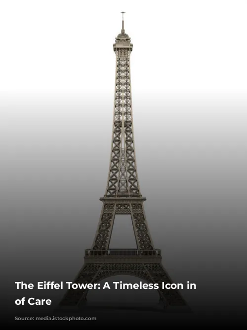 The Eiffel Tower: A Timeless Icon in Need of Care