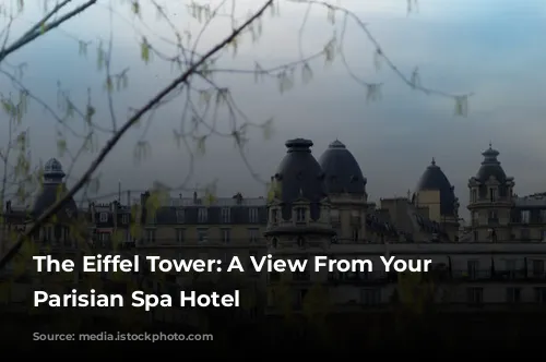 The Eiffel Tower: A View From Your Luxurious Parisian Spa Hotel