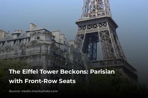 The Eiffel Tower Beckons: Parisian Hotels with Front-Row Seats