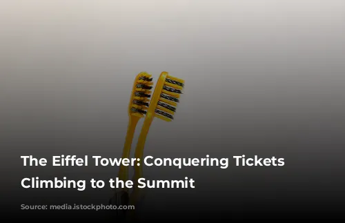 The Eiffel Tower: Conquering Tickets & Climbing to the Summit