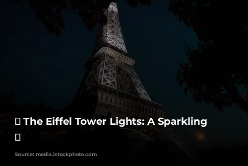 ✨ The Eiffel Tower Lights: A Sparkling Spectacle ✨