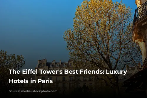 The Eiffel Tower's Best Friends:  Luxury Spa Hotels in Paris