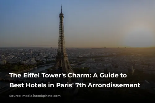 The Eiffel Tower's Charm: A Guide to the Best Hotels in Paris' 7th Arrondissement