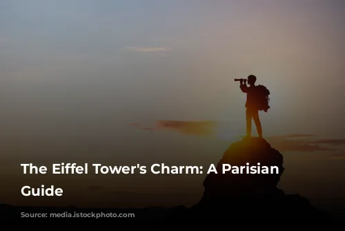 The Eiffel Tower's Charm: A Parisian Hotel Guide