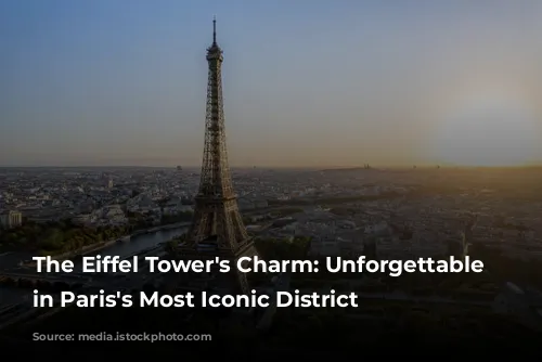 The Eiffel Tower's Charm: Unforgettable Stays in Paris's Most Iconic District