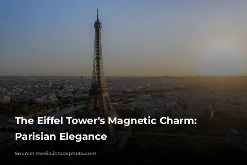 The Eiffel Tower's Magnetic Charm: Unveiling Parisian Elegance