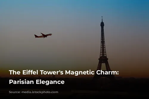 The Eiffel Tower's Magnetic Charm: Unveiling Parisian Elegance