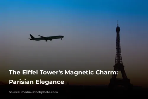 The Eiffel Tower's Magnetic Charm: Unveiling Parisian Elegance