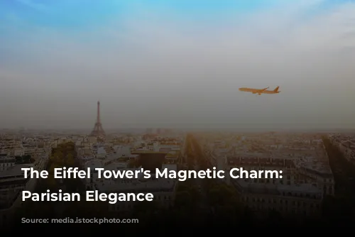 The Eiffel Tower's Magnetic Charm: Unveiling Parisian Elegance