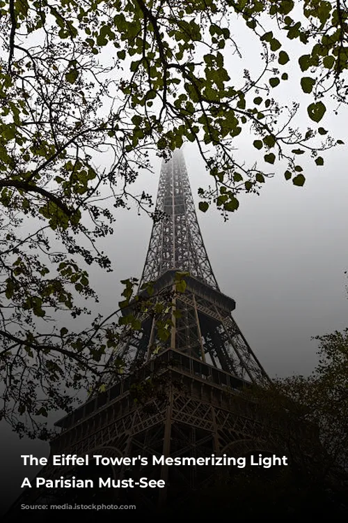 The Eiffel Tower's Mesmerizing Light Show: A Parisian Must-See