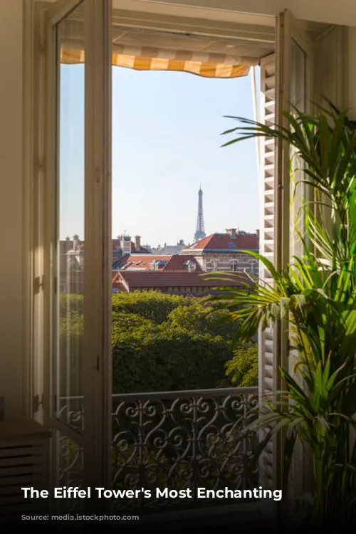 The Eiffel Tower's Most Enchanting Neighbors