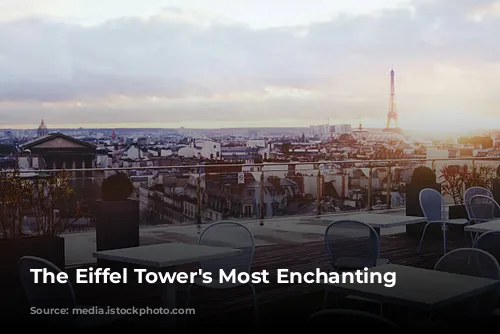 The Eiffel Tower's Most Enchanting Neighbors