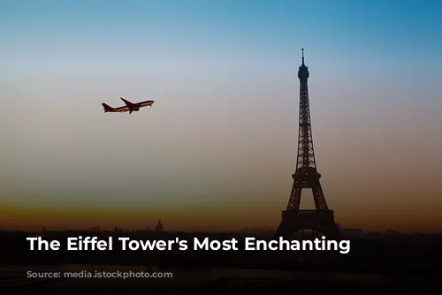 The Eiffel Tower's Most Enchanting Neighbors