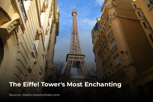 The Eiffel Tower's Most Enchanting Neighbors