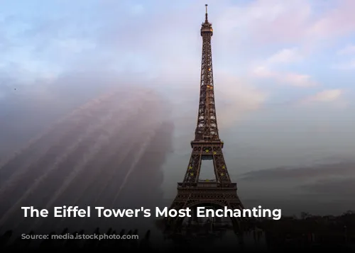 The Eiffel Tower's Most Enchanting Neighbors