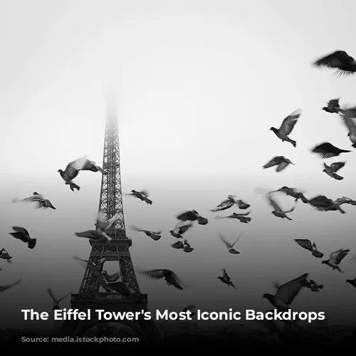 The Eiffel Tower's Most Iconic Backdrops