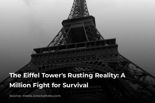 The Eiffel Tower's Rusting Reality: A $64 Million Fight for Survival