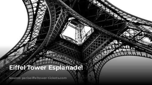 Eiffel Tower Esplanade!