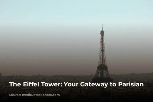 The Eiffel Tower: Your Gateway to Parisian Charm