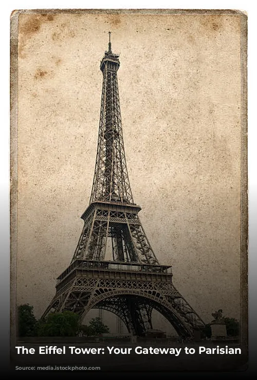 The Eiffel Tower: Your Gateway to Parisian Charm