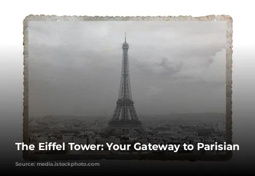 The Eiffel Tower: Your Gateway to Parisian Charm