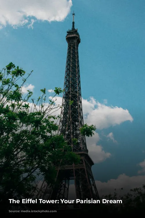 The Eiffel Tower: Your Parisian Dream Awaits