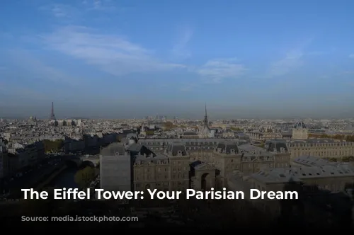 The Eiffel Tower: Your Parisian Dream View