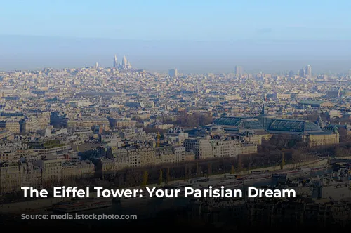 The Eiffel Tower: Your Parisian Dream View