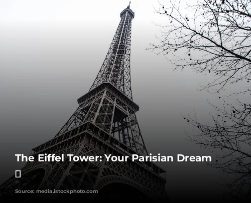 The Eiffel Tower: Your Parisian Dream View 🗼