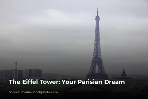 The Eiffel Tower: Your Parisian Dream View