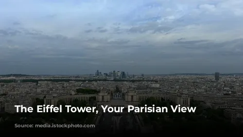 The Eiffel Tower, Your Parisian View