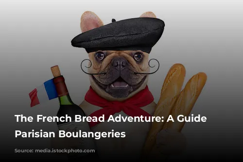 The French Bread Adventure: A Guide to Parisian Boulangeries