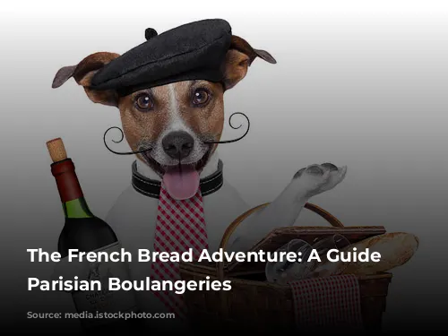 The French Bread Adventure: A Guide to Parisian Boulangeries