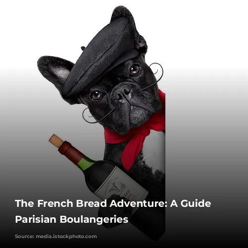 The French Bread Adventure: A Guide to Parisian Boulangeries