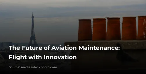 The Future of Aviation Maintenance: Taking Flight with Innovation