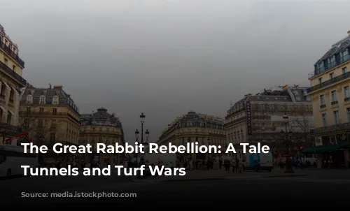 The Great Rabbit Rebellion: A Tale of Tunnels and Turf Wars