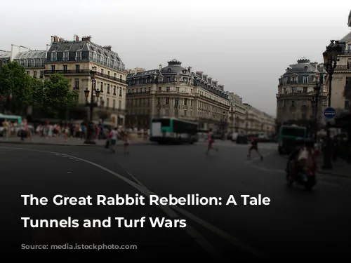 The Great Rabbit Rebellion: A Tale of Tunnels and Turf Wars