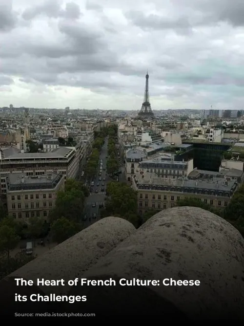 The Heart of French Culture: Cheese and its Challenges