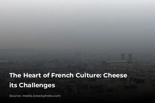 The Heart of French Culture: Cheese and its Challenges