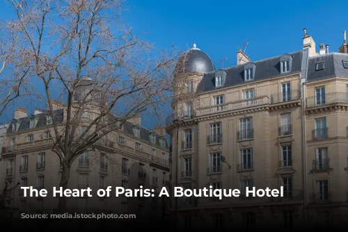 The Heart of Paris: A Boutique Hotel Guide