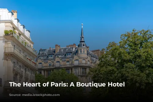 The Heart of Paris: A Boutique Hotel Guide