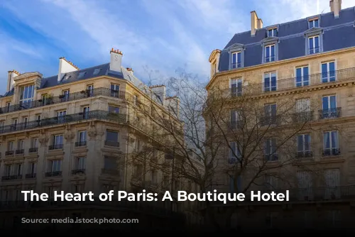 The Heart of Paris: A Boutique Hotel Guide