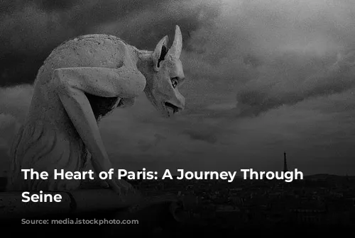 The Heart of Paris: A Journey Through the Seine