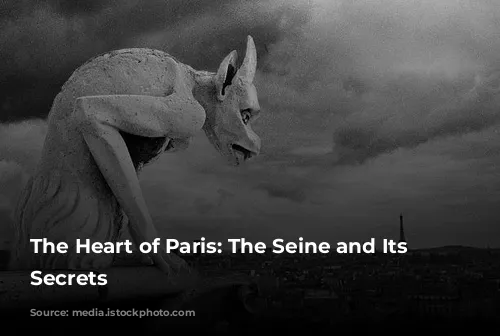 The Heart of Paris:  The Seine and Its Enchanting Secrets