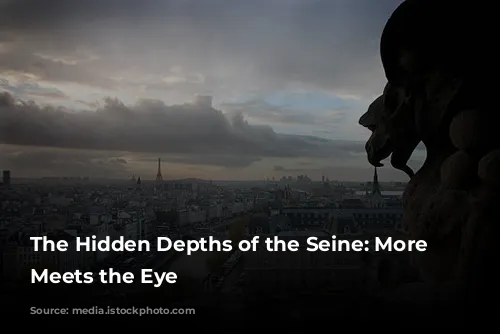 The Hidden Depths of the Seine: More Than Meets the Eye