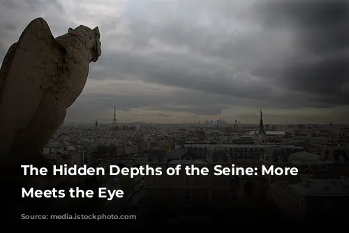 The Hidden Depths of the Seine: More Than Meets the Eye