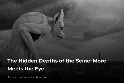 The Hidden Depths of the Seine: More Than Meets the Eye