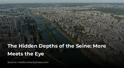 The Hidden Depths of the Seine: More Than Meets the Eye