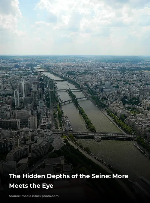 The Hidden Depths of the Seine: More Than Meets the Eye